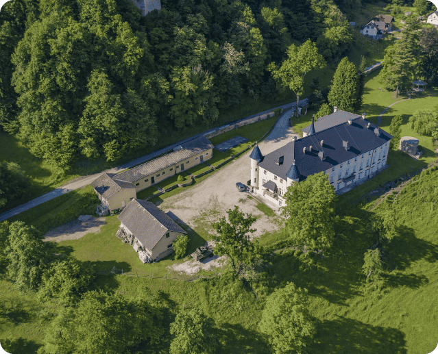 Amazing View Bukoje Manor Slovenia Surrounded By Trees