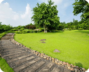 Grassland Landscape Greening Environment Park Background (1)