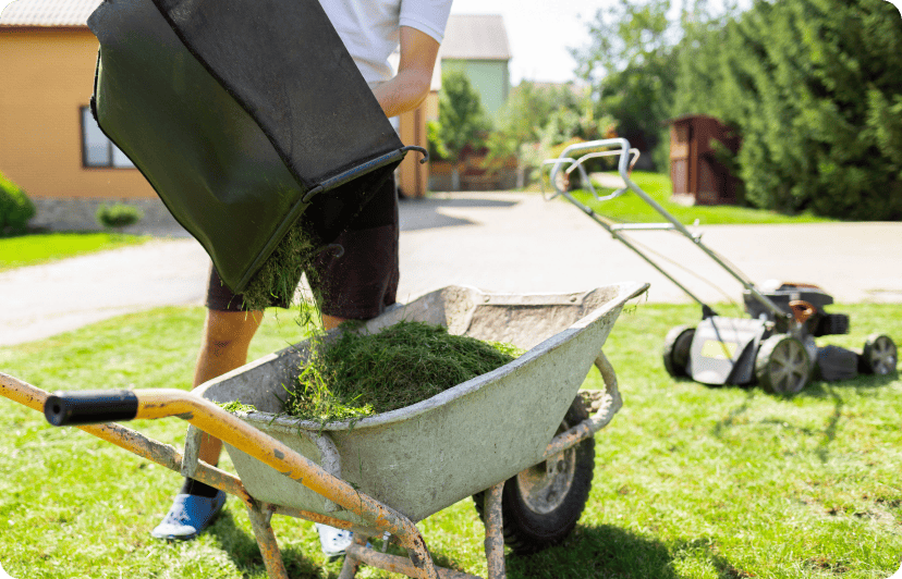 Man Unloads Mowed Grass From A Lawn S Mower Catche 2024 10 18 22 44 08 Utc