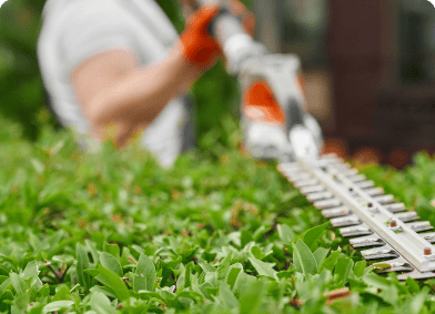 Worker Is Cutting Grass With Hose
