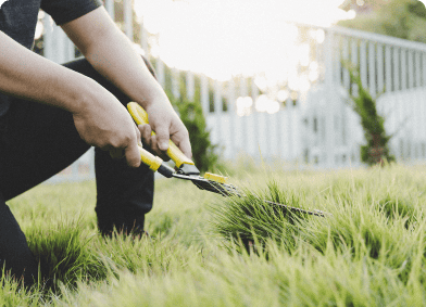 Young Asian Man Shears Lawn Evening When Sun Sets Beautiful Orange Glow
